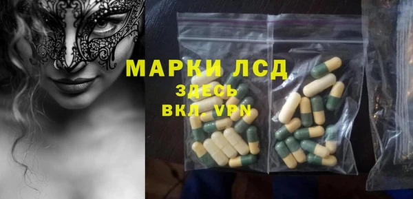PSILOCYBIN Алзамай