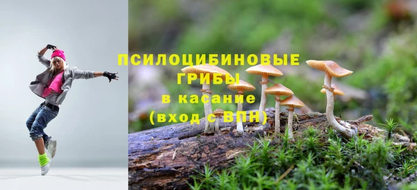PSILOCYBIN Алзамай