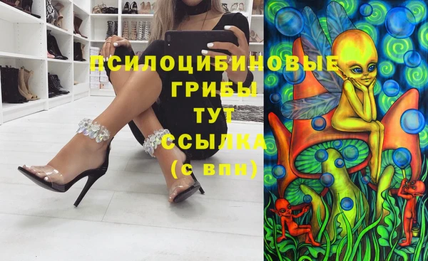 PSILOCYBIN Алзамай